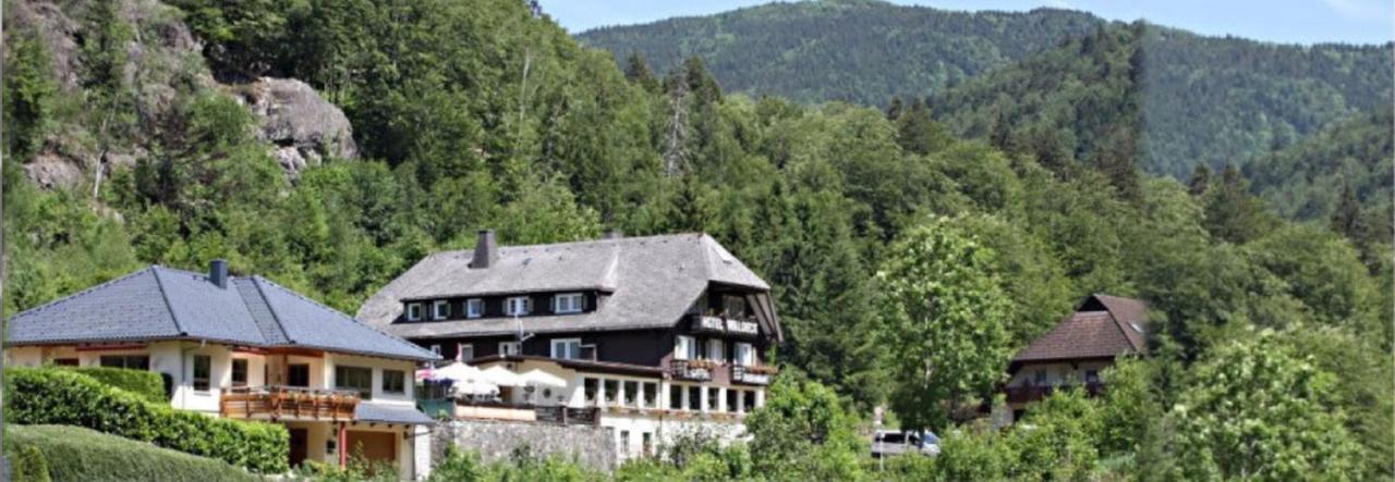 Hotel Waldeck In Todtnau Eksteriør billede