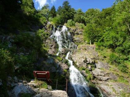 Hotel Waldeck In Todtnau Eksteriør billede