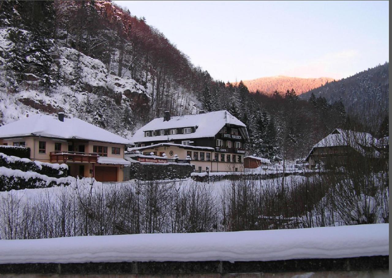 Hotel Waldeck In Todtnau Eksteriør billede
